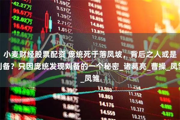 小麦财经股票配资 庞统死于落凤坡，背后之人或是刘备？只因庞统发现刘备的一个秘密_诸葛亮_曹操_凤雏