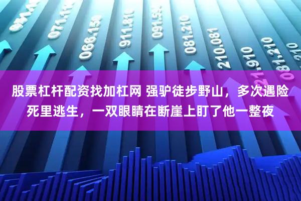 股票杠杆配资找加杠网 强驴徒步野山,多次遇险死里逃生,一双眼睛在断崖上盯了他一整夜